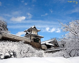 金泽之旅