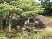 美在兼六园