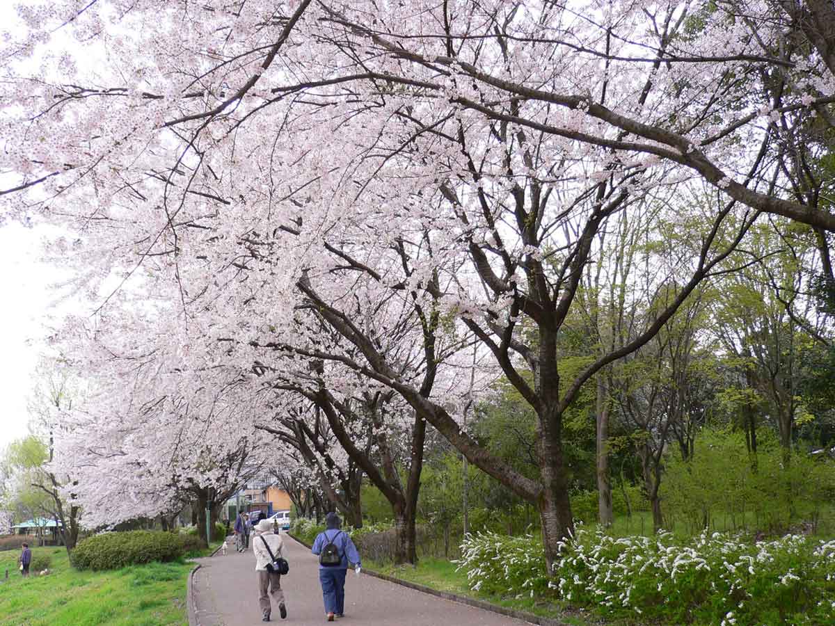 我們在石川縣過的很好
