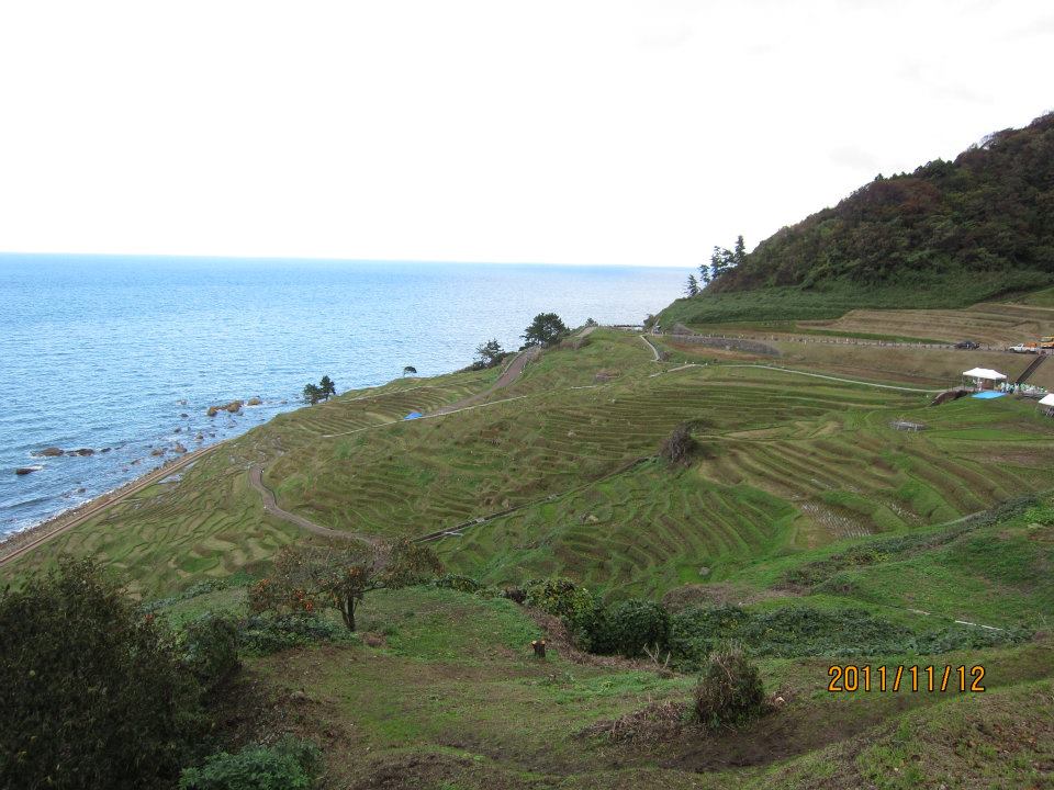 Senmaida - Terraced rice fields in Noto.
